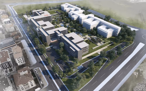 Untitled Collection #82973526