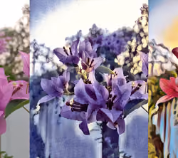Three Flower Plant