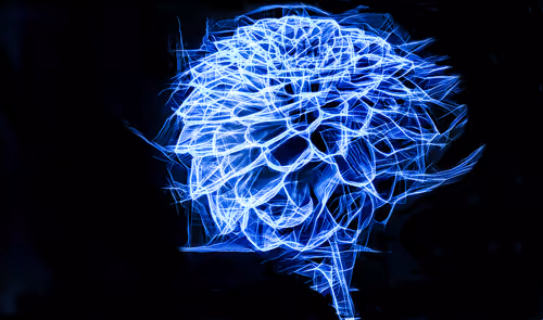 Item #41835371952023020745860012220635076645506524094652361390294664919117893468161 Media