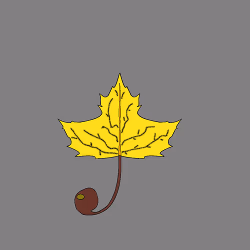 Item #67442861663334708568431626599499864796798009138674433109352703127727735046145 Media