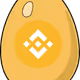 50056287288705124247297657935961297914396133771970637164921759147249551540225
