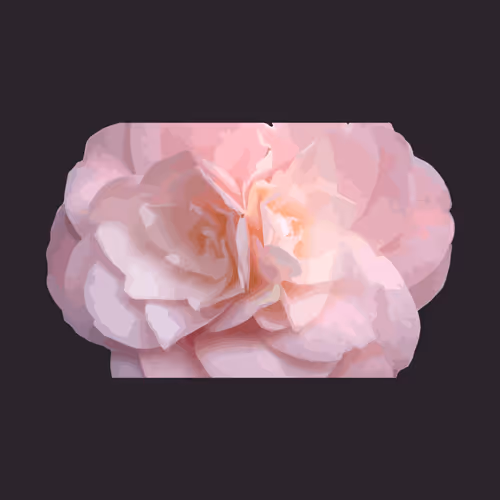 Item #44393374949489442092676512808370248944625869133575123668025247815030429188097 Media