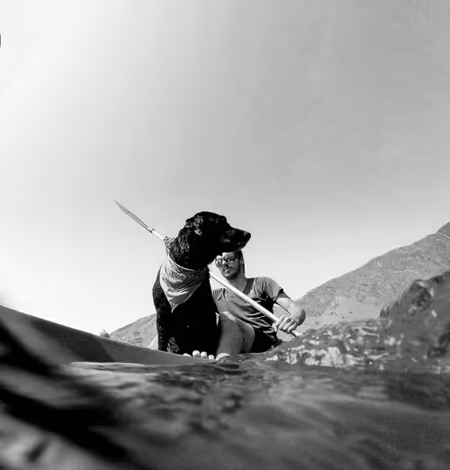 Item #41224920182518181560806089157378548851265861215278832006028644641303141810177 Media