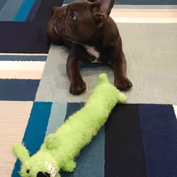 99031261785432219130552668818269695456905868997165113515571762321450254467073