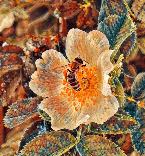 Item #101599579626109009666607068920778550362968334718480795982881728488058199736321 Media