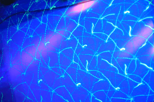 25388429571187189400142896144030193801342767201083735738326485270600829894657