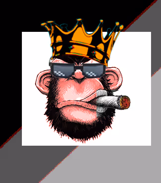 Item #2221678870566175029442172889616334252164657164505212723631212291990034055169 Media