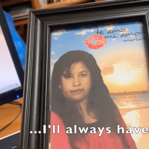 Untitled Collection #88262525