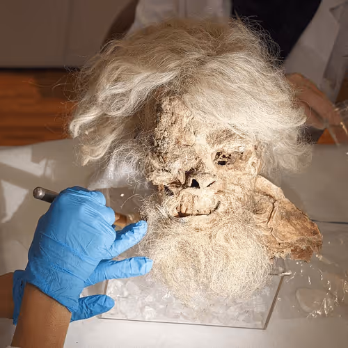 Item #4572801566635699787359068361117184921102983508121649030375987871966868537345 Media