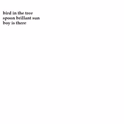 Haiku 1