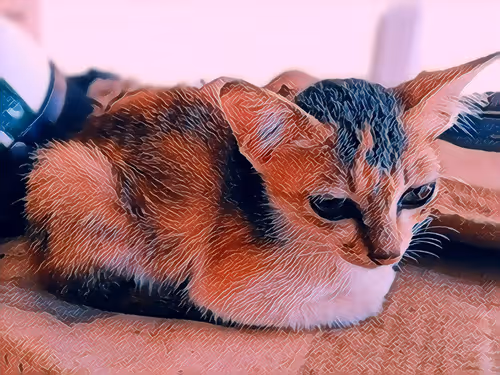 Item #74122138759525378795667626270866148487737655975912799548892275257790125047809 Media