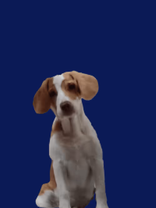 Item #102750932630286141283640228990657258849753406711884020686679075613822681088100 Media