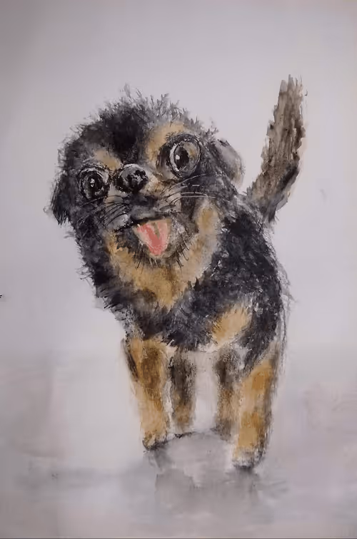 Item #53661683660994396488981893260373811515315705590489664499670501579426487174816 Media