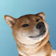 75326874550880600326490188935567191876487813911489107474527429775279735701505