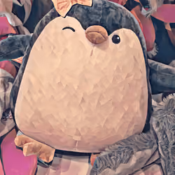 The Mama Penguin
