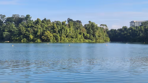 Item #92102367061063309777516937454515010530577803003562200099227054015319621238785 Media