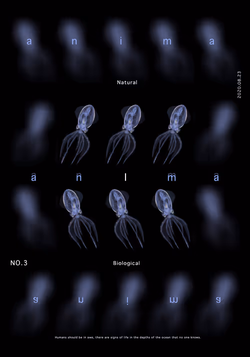 Item #49380836627770662733359422450185159630436709343046895638781015834359851122689 Media