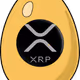 50056287288705124247297657935961297914396133771970637164921759136254435262465