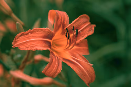 Item #108333172836631629328696584714053398631603269563571358519615745313015685185537 Media