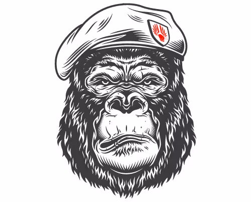 Untitled Collection #177433711