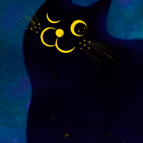 #01『Sky of Black Cats』