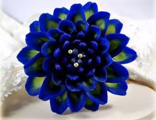 Item #88361313623367821169385109995691991430035234120960623439170725890495401166800 Media