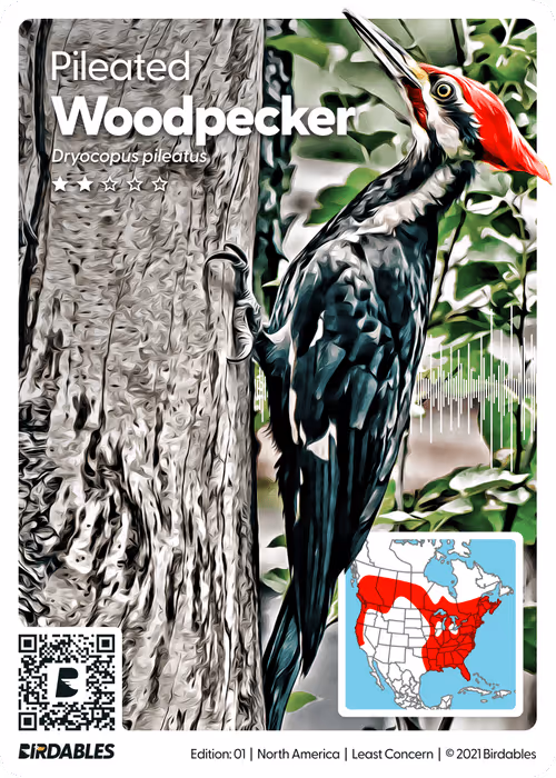 Item #26102390610025884852824728088708208703251930988161684574571712850588696838169 Media