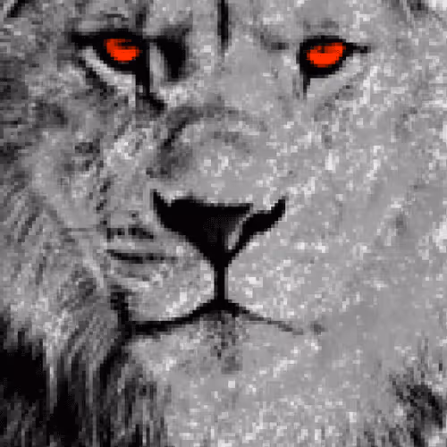 Item #50459515703041392819542908586521529381772501982036057728161511824817362305025 Media