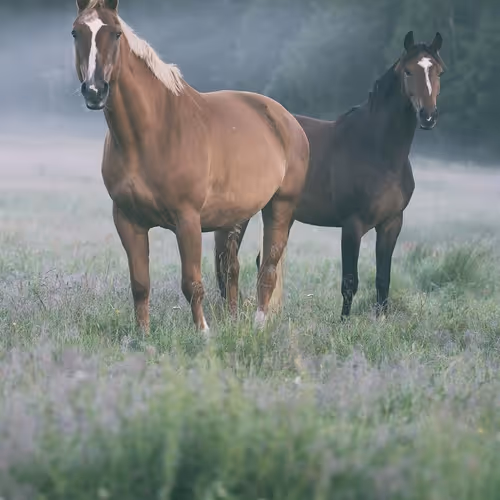 2468119463308914702005443652102614178506533567319377457804557039455338233857