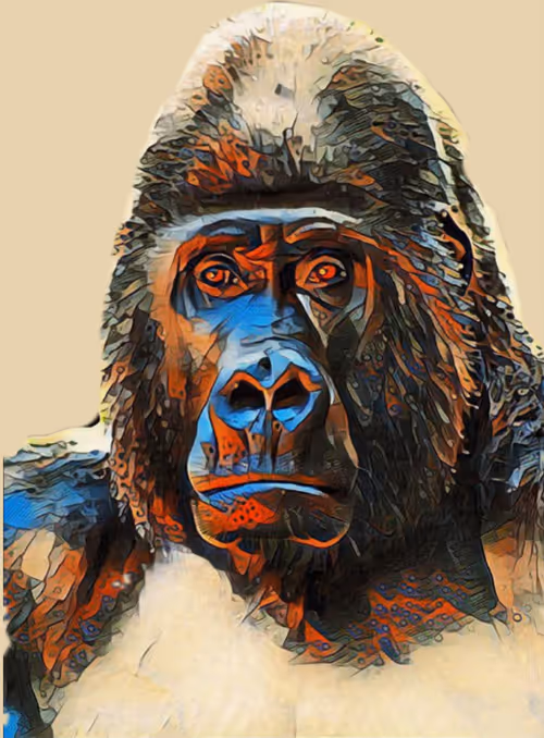 Item #30569454315596988874663295795497440316306239539526956150222319130018964307969 Media