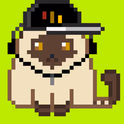 33025656823960356561507790945020345262477228740296063898566016199058048155649