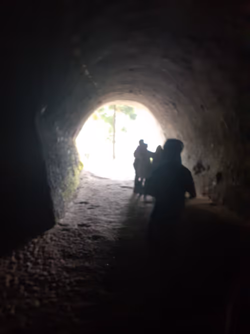 Item #68356916031059924921230192194445693761239192572255149021970435631711065735169 Media