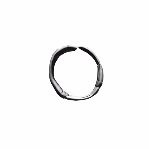 Item #25413925138604718273216109091367627771970438213072679571275042765646927495169 Media