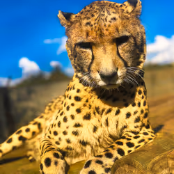 61384308037220340941536659537637409353443762438146533444370787538328528879617