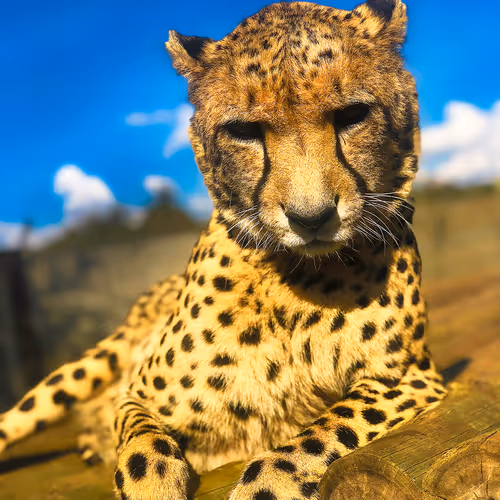 61384308037220340941536659537637409353443762438146533444370787538328528879617