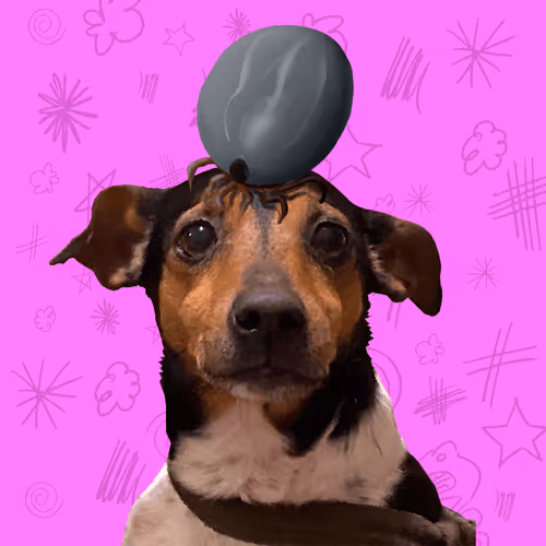 Item #36099553795261404282579238421663119871283840647116495816804462634865401004033 Media