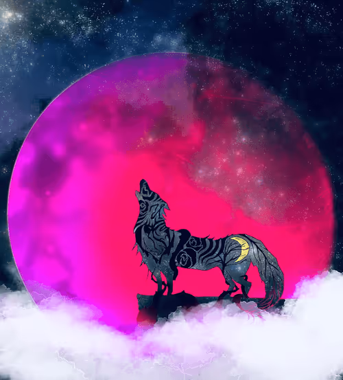 Item #7778775573077224182590274404376407859037121215848078364928991872718020280321 Media