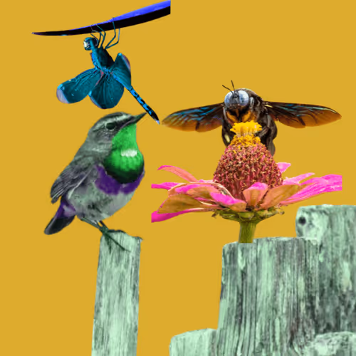 Item #106350744656416940876067234777312744792057383987391973590080758683873470054401 Media