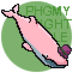 76886183400510986828564600332623285787207885382450708502093141775337387982849