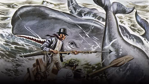 Item #39346038275218175692122245338117999534449511466287424968576522978635498389505 Media