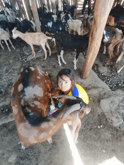 Item #32237202173720727343948986965561335091197107318394763909165930940724980744193 Media