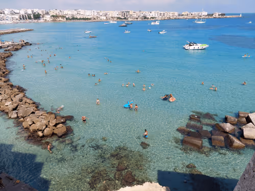 Item #43505702085321246701285015339688837487321998718285252344027785112762902904833 Media