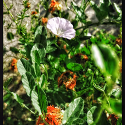 3787080761074609709675817509753112159059746763483256848434353755708501000193