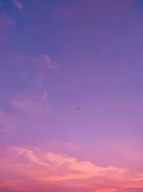 Item #72760700092803160770480809579831444049147385471931070529224836632403494567937 Media