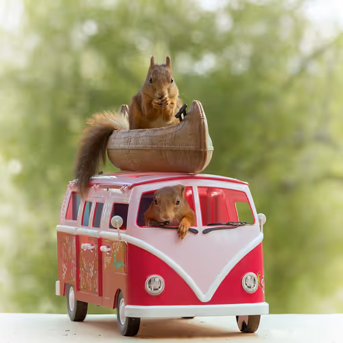 Item #41723246610632705543282218396403645401617984070439185990108432299701527642113 Media