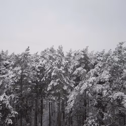 Item #39781805688626842994046507888546694714899270474383352618679520632502323511297 Media