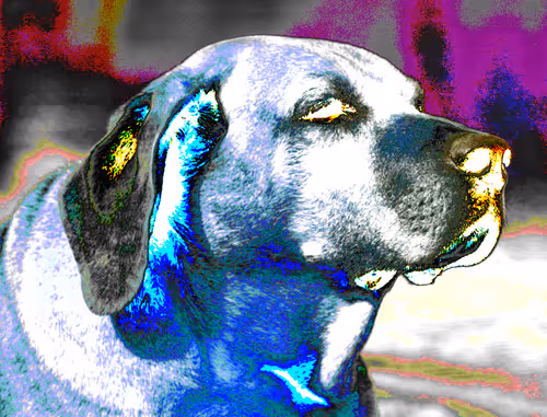 Item #97472780855113725442361506406406632137290984226550429674679319482470120816641 Media