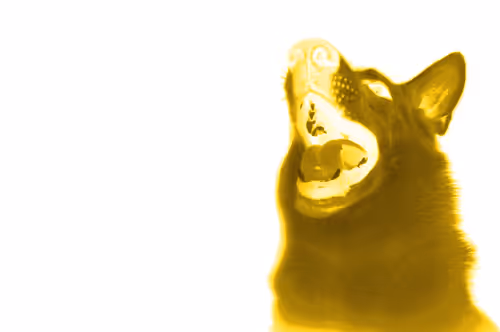 Item #97472780855113725442361506406406632137290984226550429674679319489067190583297 Media