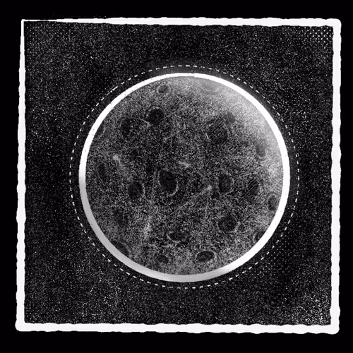 12618317395085495808119660085901671387732414975085101892039961326786615181313