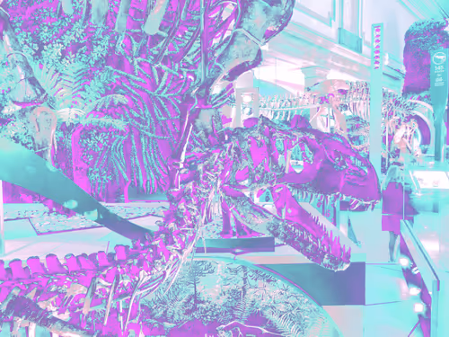 Item #104151926418677363759303450577441756629936009992425548926010600558080301203457 Media